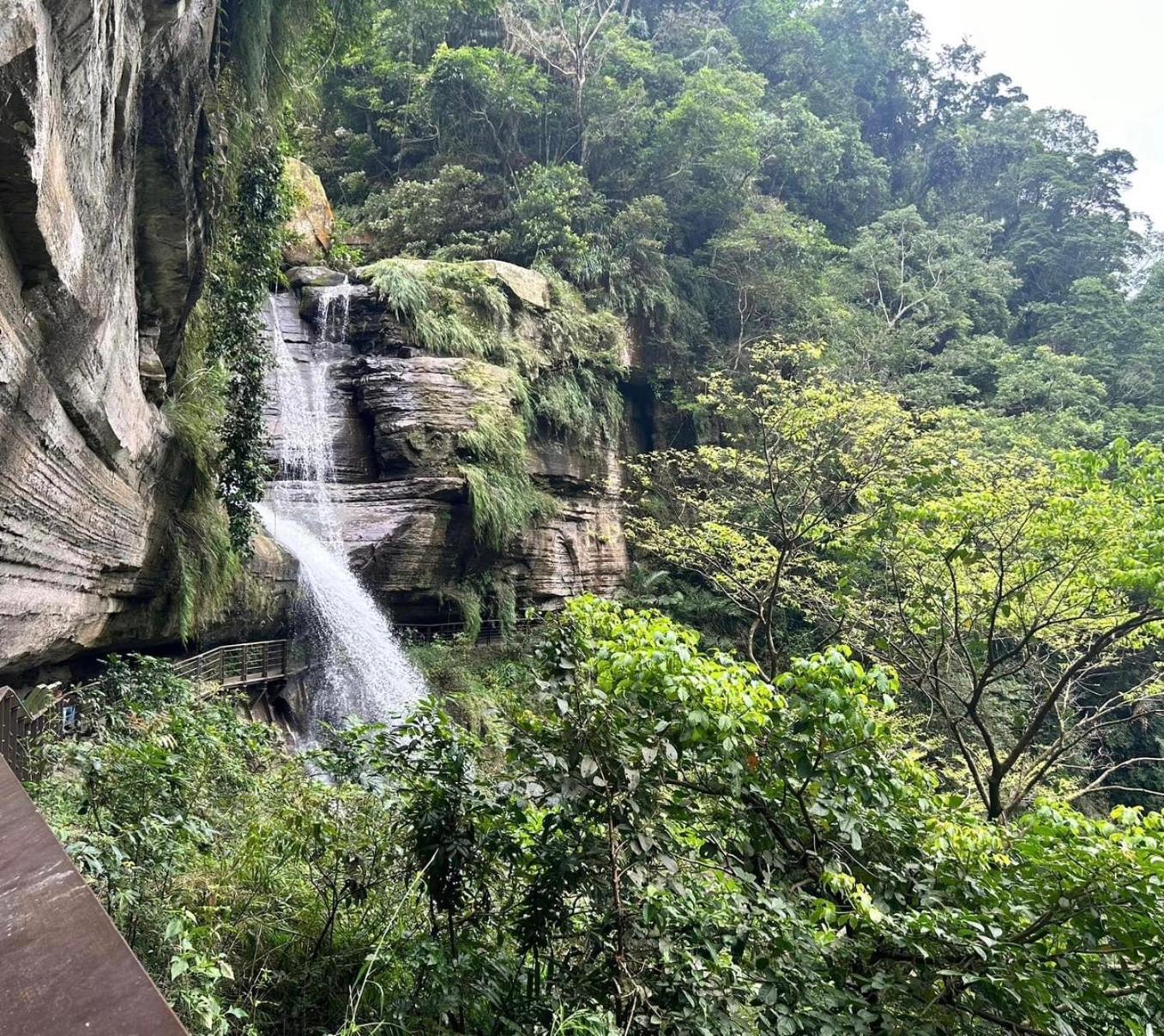 Gaodiyuan Tea B&B 高帝園茶業民宿 Meishan 외부 사진